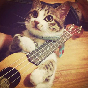 和黑人邻居2做爰
